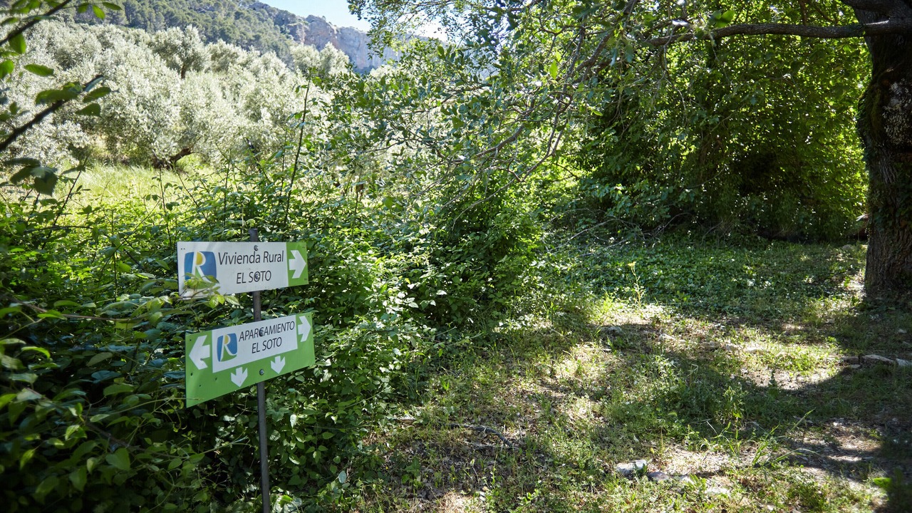 Photo of Outdoor in Beas de Segura