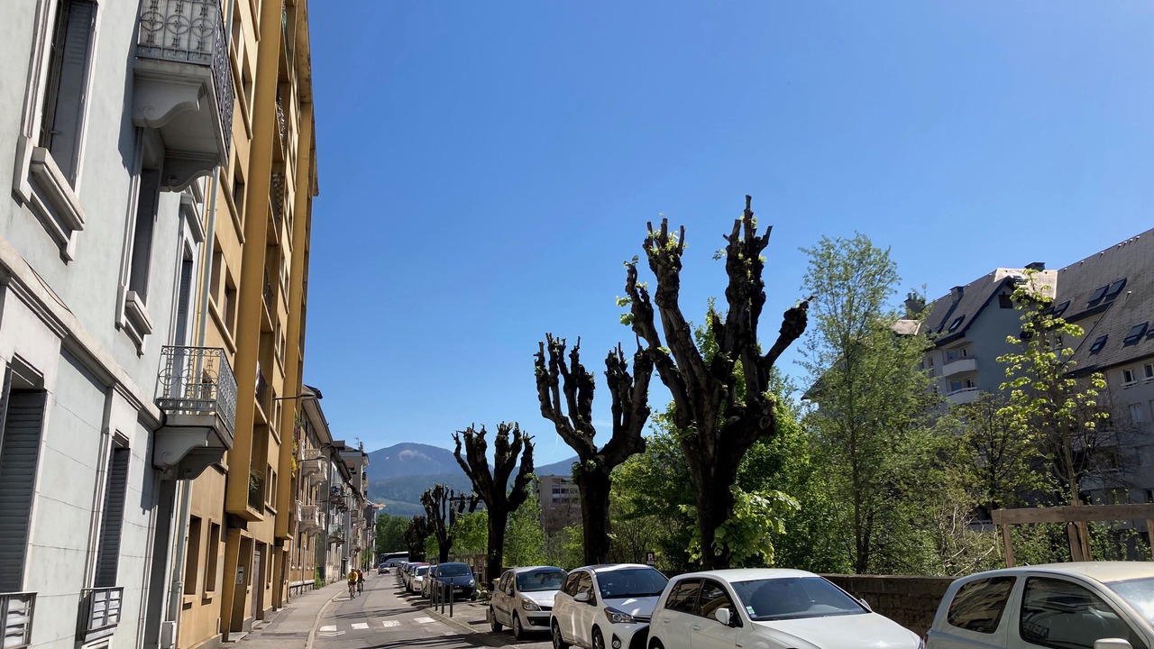 Photo of Others in Chambery