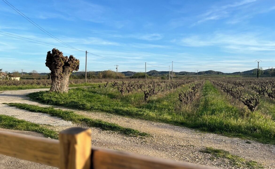 Photo of Outdoor in Pont-Saint-Esprit