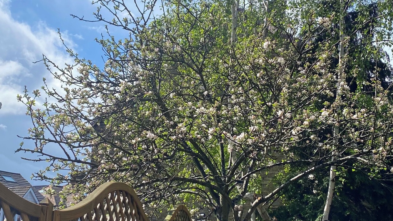 Photo of Outdoor in Lee