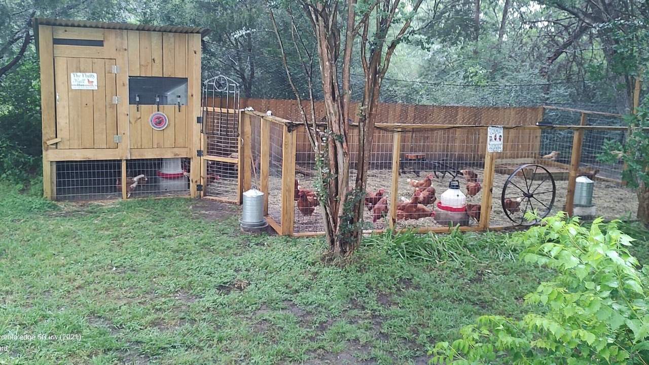 Photo of Outdoor in Bryan
