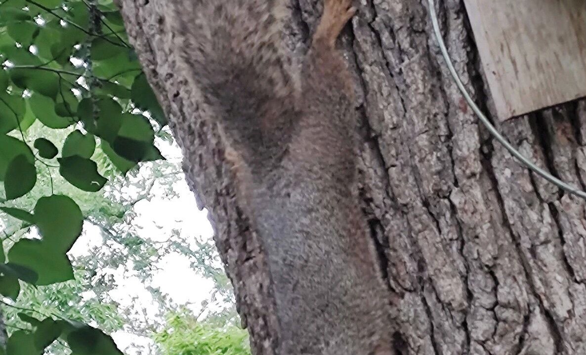 Photo of Outdoor in Bryan