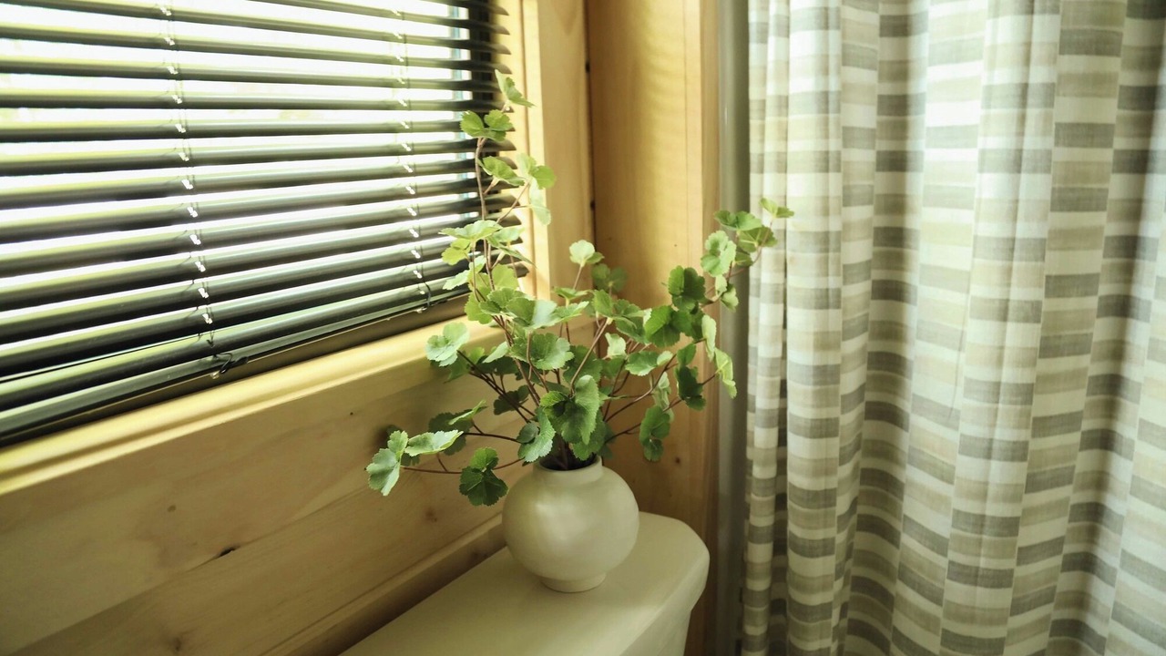 Photo of Others in Mingoville