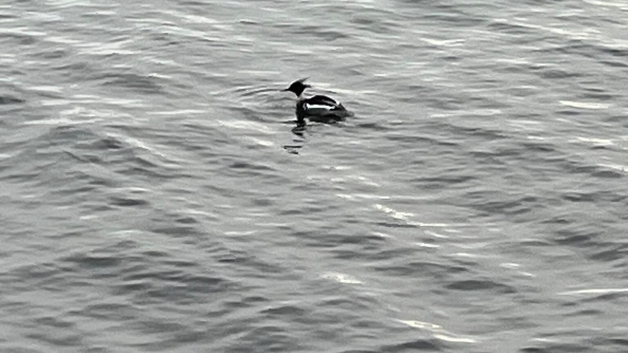 Photo of Others in Interlaken