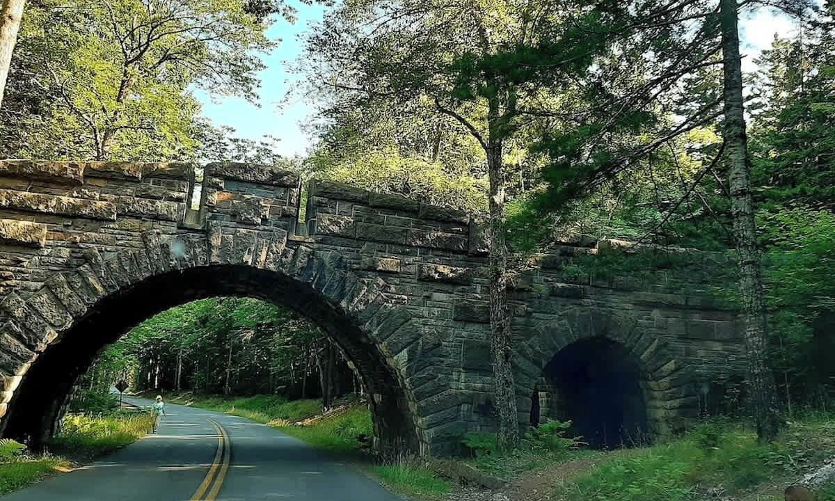 Photo of Others in Trenton