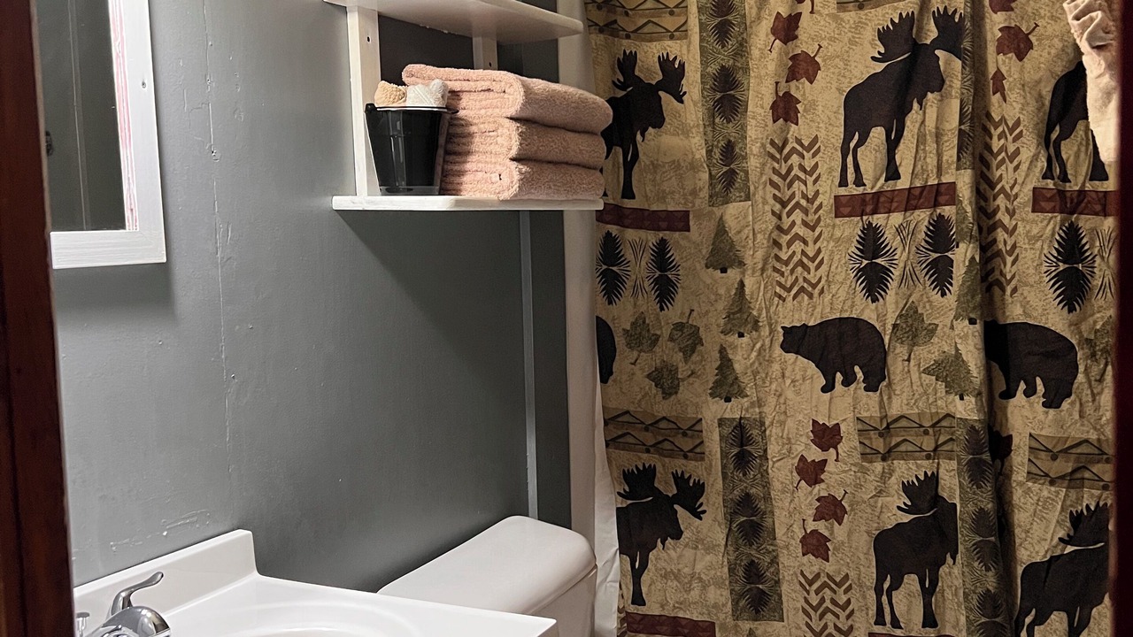 Photo of Bathroom in Protem