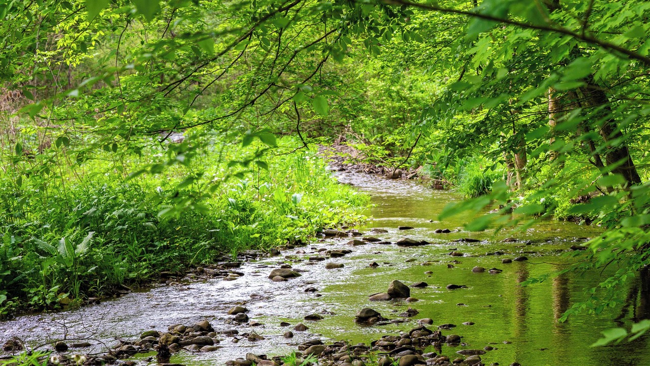 Photo of Others in Canandaigua