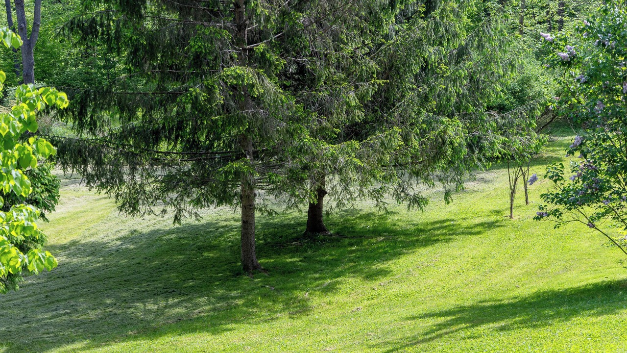 Photo of Outdoor in Canandaigua