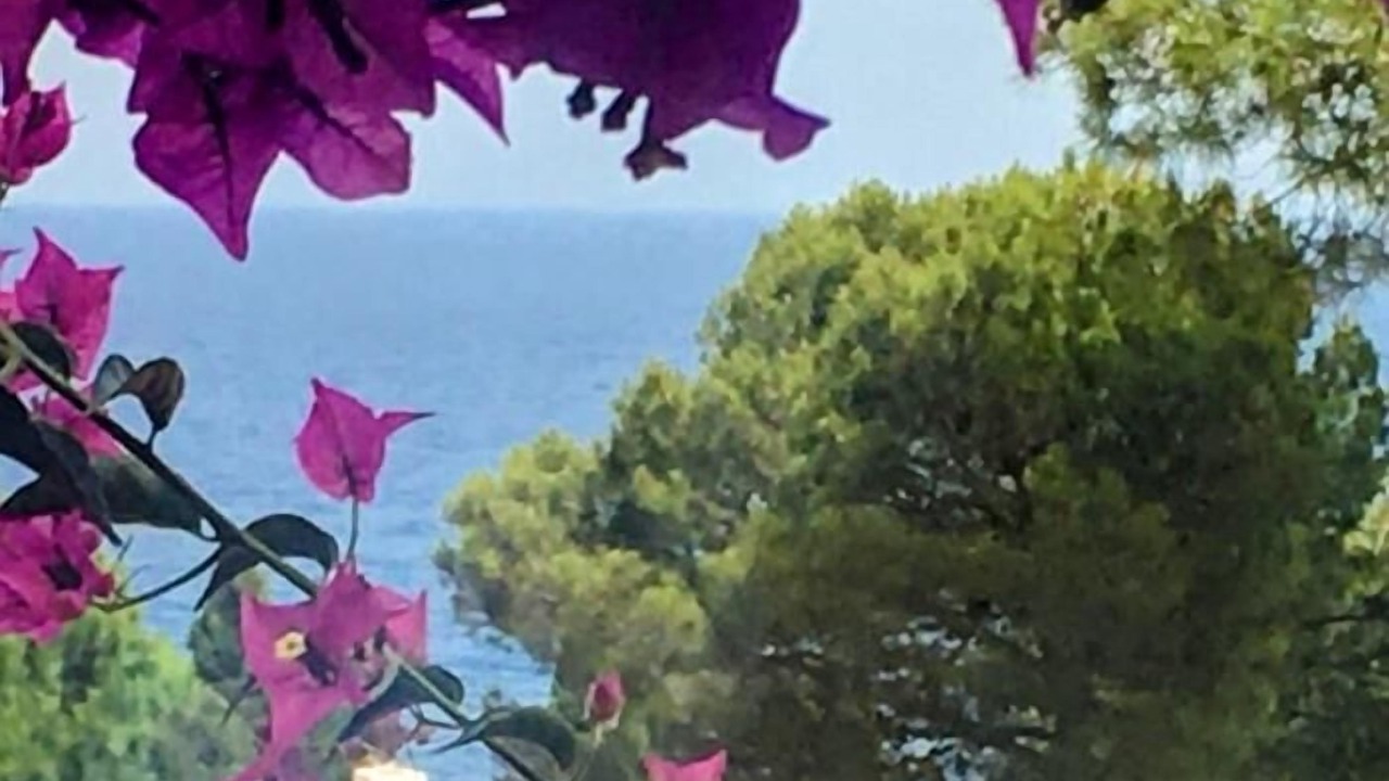 Photo of Outdoor in Salionc
