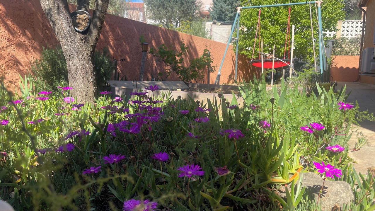 Photo of Outdoor in Banyuls-dels-Aspres