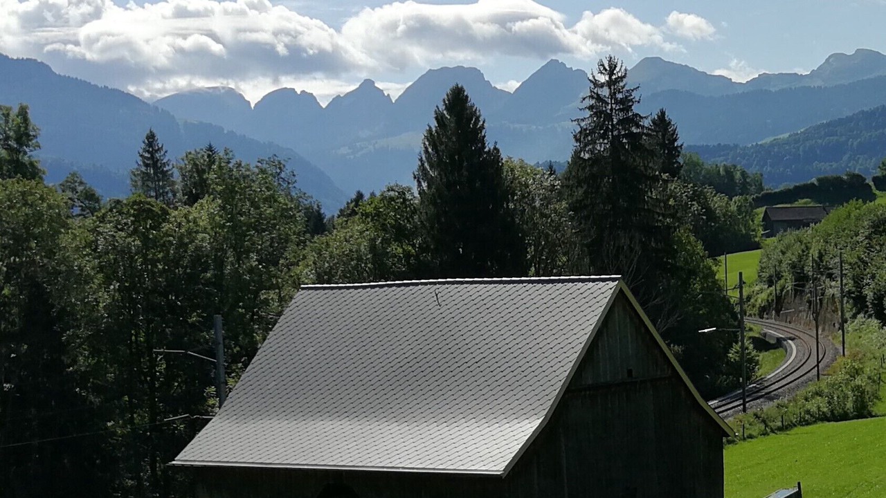 Photo of Others in Krummenau