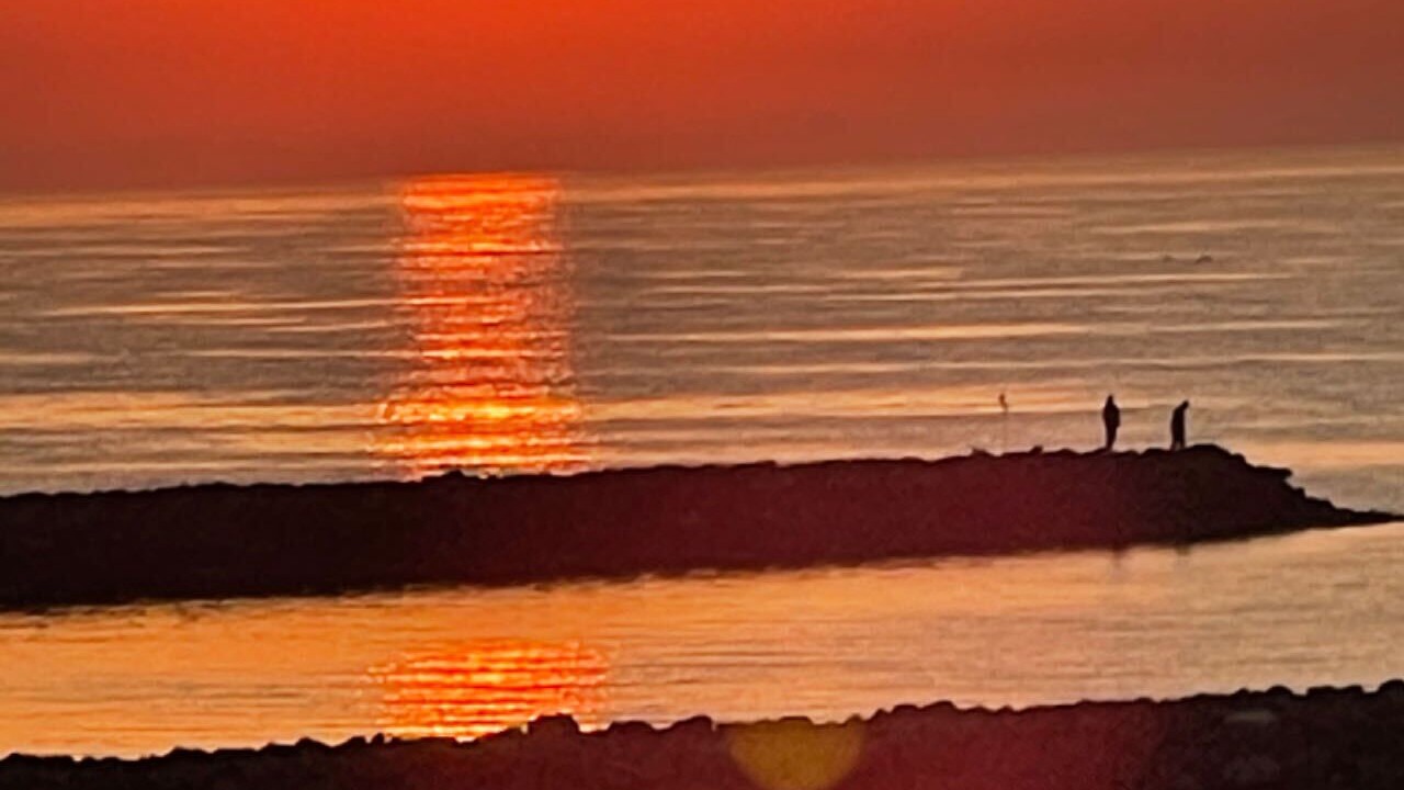 Photo of Others in Werribee South