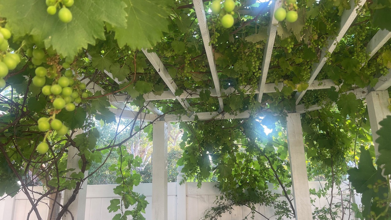 Photo of Outdoor in East Pasadena