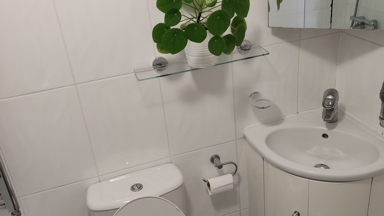 Photo of Bathroom in Hornsey