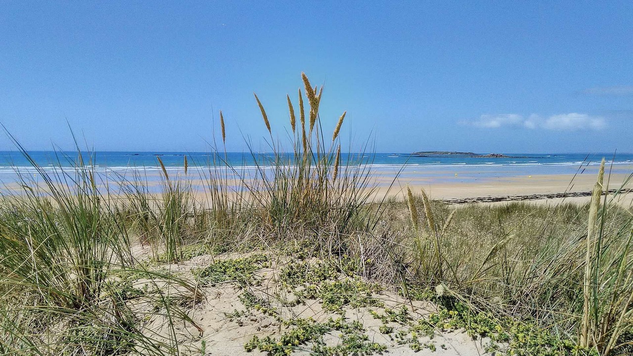 Photo of Others in Etel