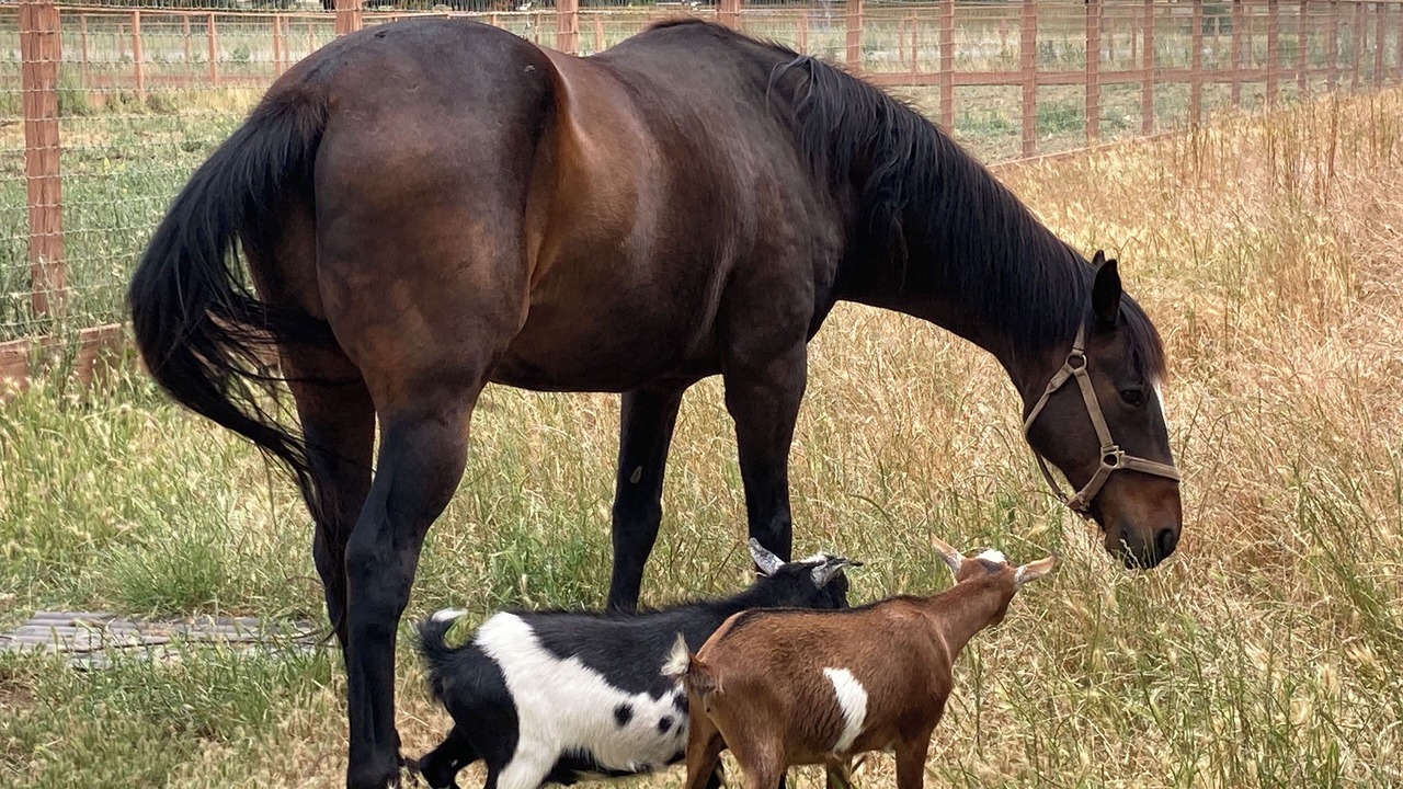 Photo of Others in San Martin