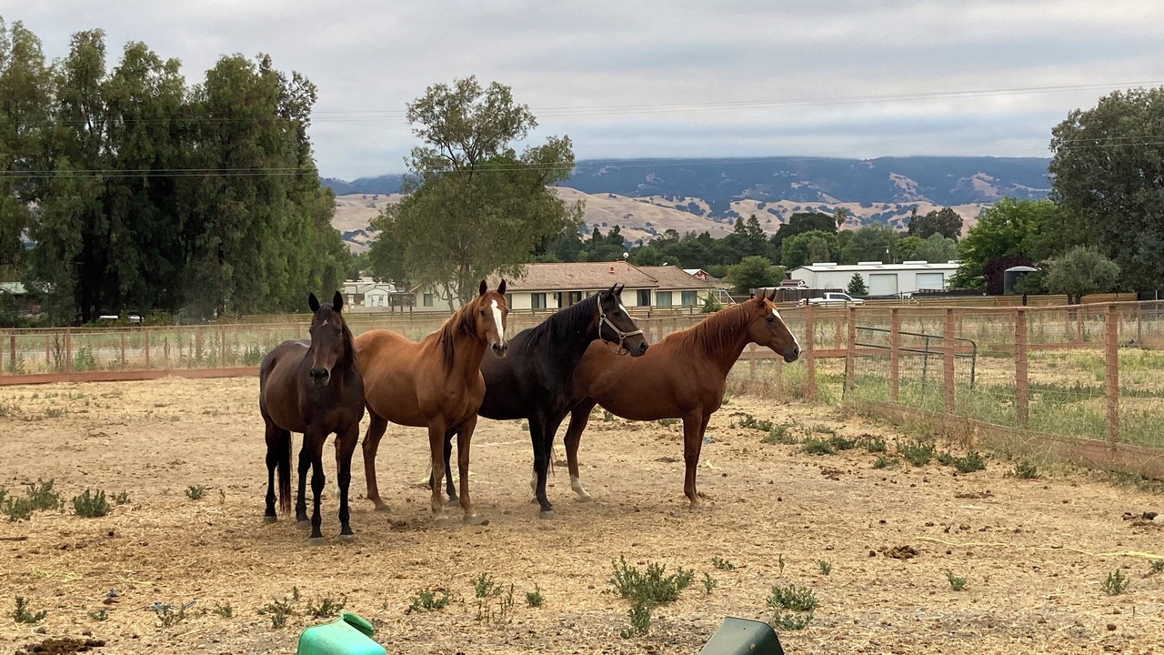 Photo of Others in San Martin