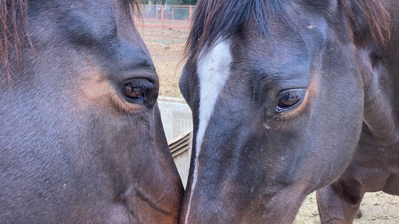 Photo of Outdoor in San Martin