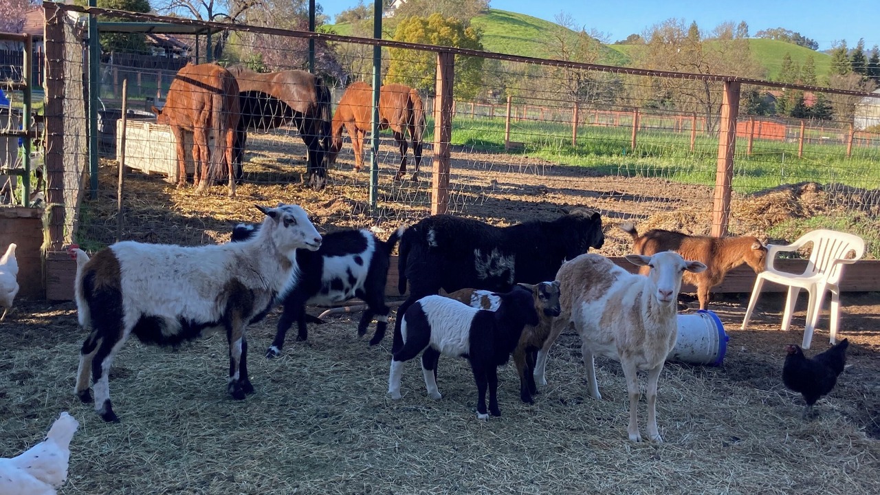 Photo of Outdoor in San Martin