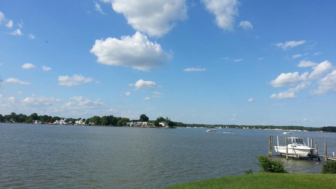 Photo of Others in Essex