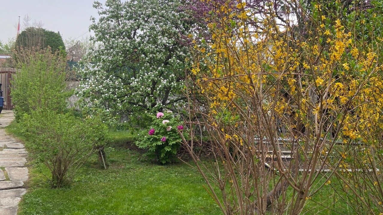 Photo of Outdoor in Thonex