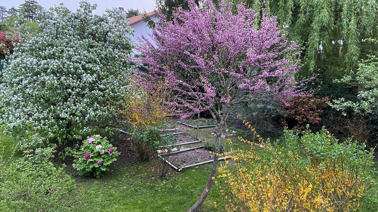 Photo of Outdoor in Thonex