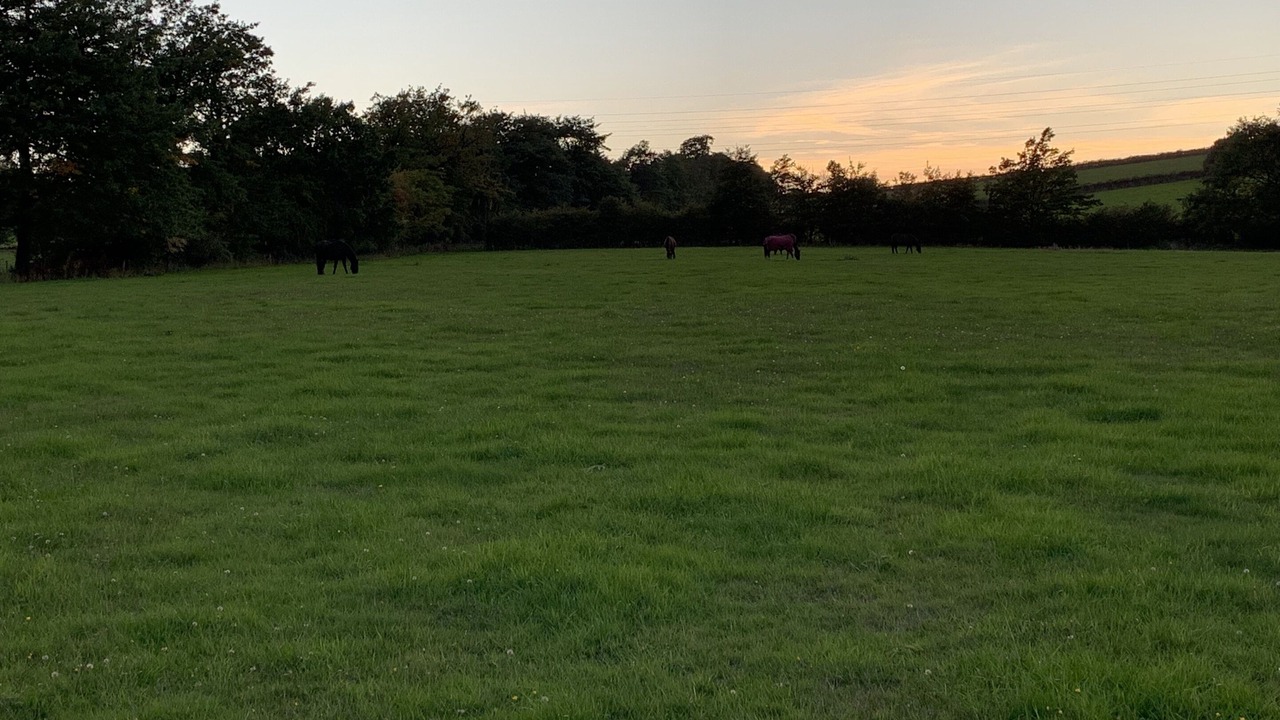 Photo of Others in Shepshed