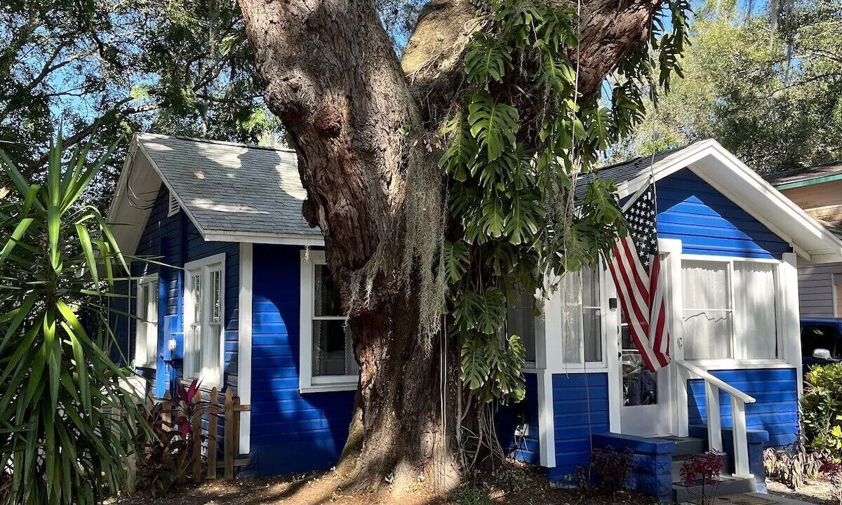 Photo of Others in Mount Dora