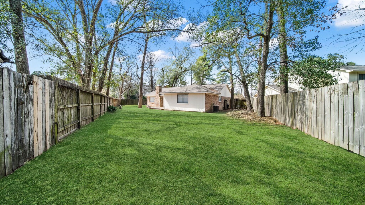 Photo of Outdoor in Spring