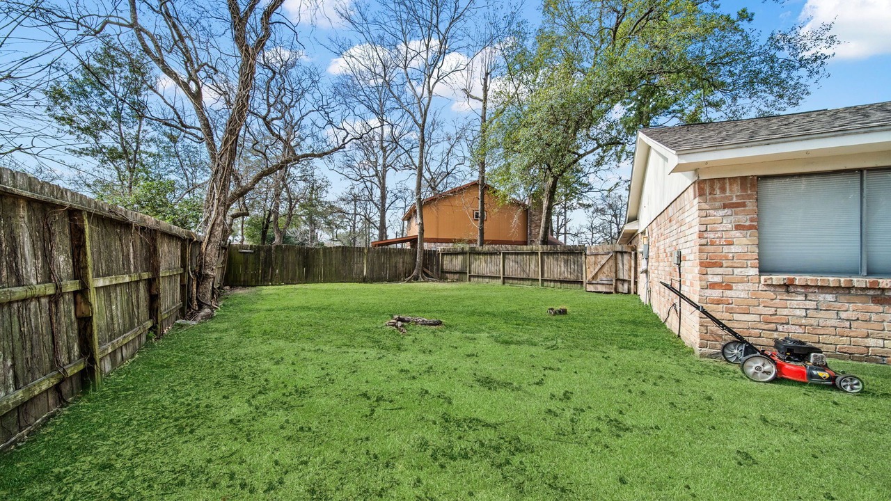 Photo of Outdoor in Spring