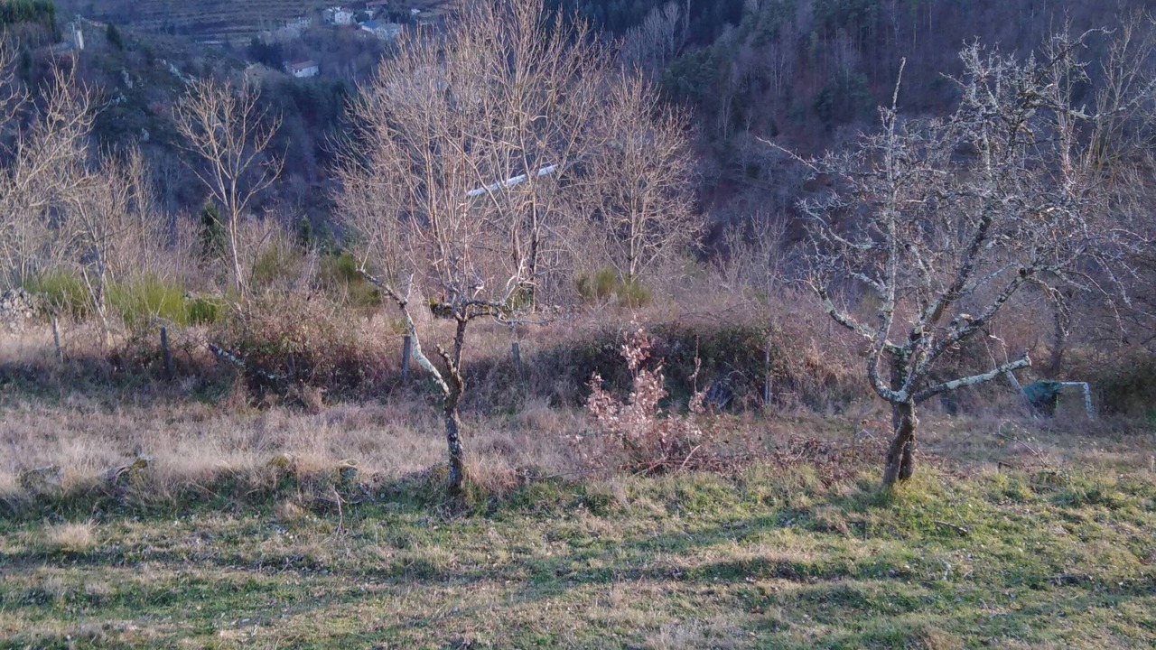 Photo of Others in Saint-Barthelemy-le-Meil