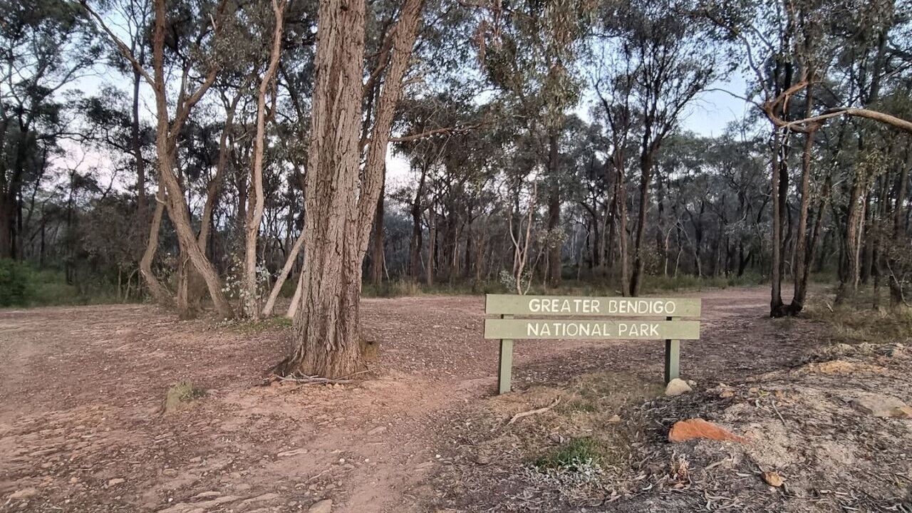 Photo of Others in Strathdale