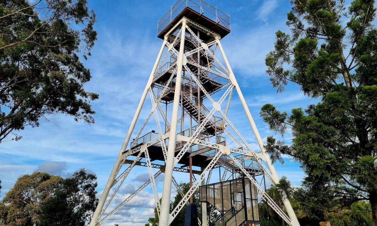 Photo of Others in Strathdale