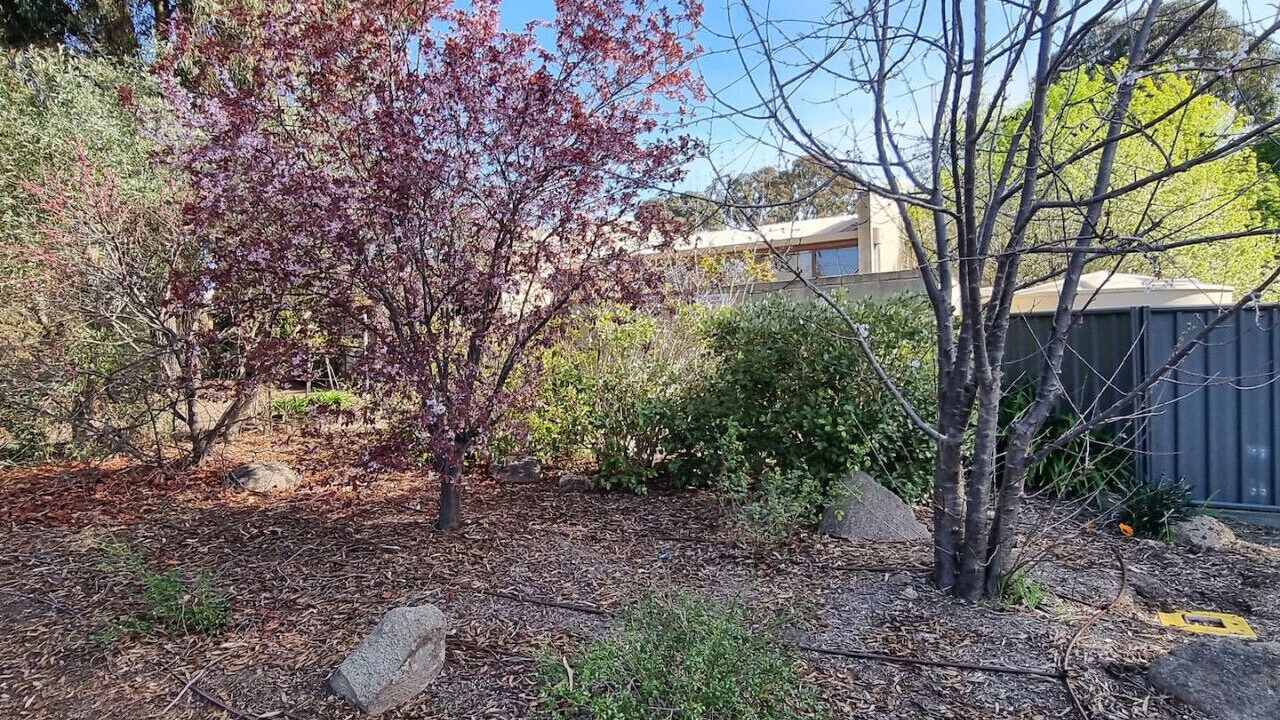 Photo of Others in Strathdale