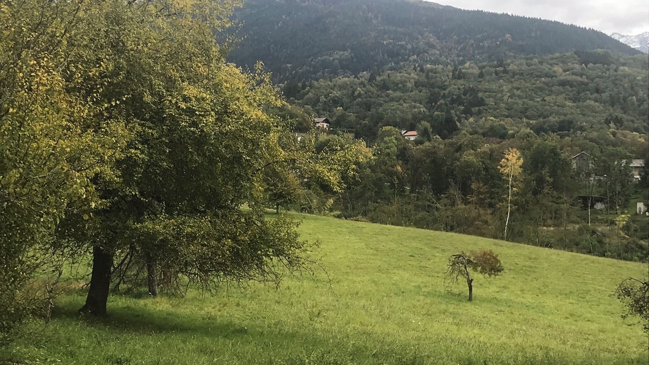Photo of Others in Presle