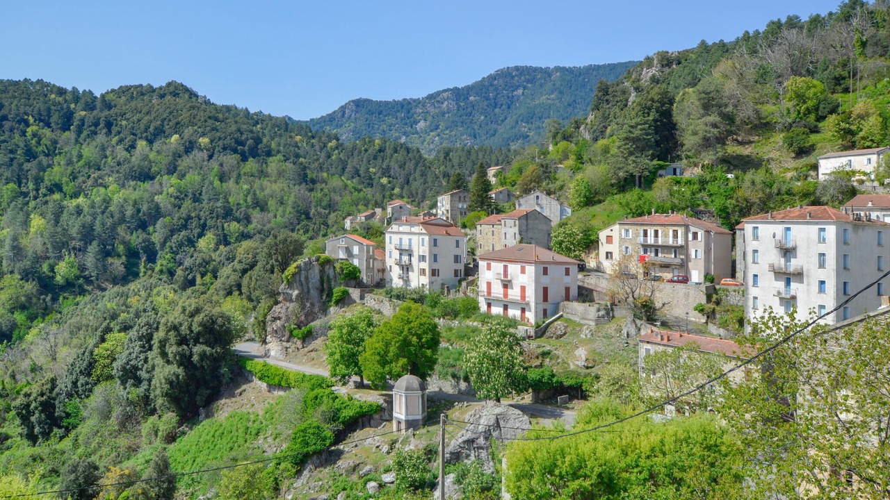 Photo of Others in Poggio-di-Nazza