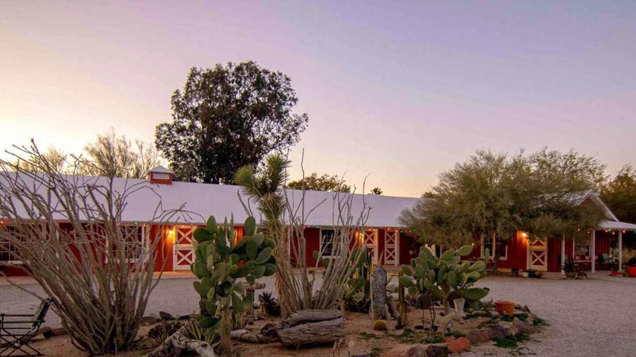 Photo of Outdoor in Joshua Tree