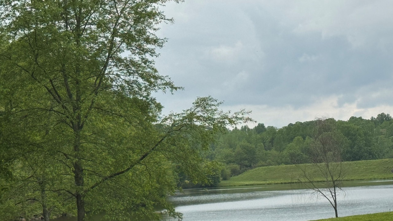 Photo of Others in Wiley