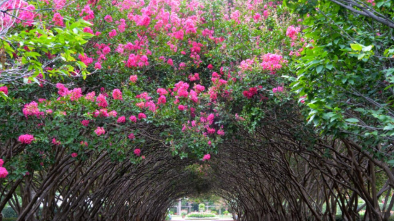 Photo of Outdoor in North Dallas