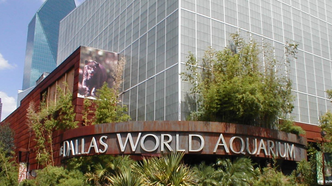 Photo of Outdoor in North Dallas