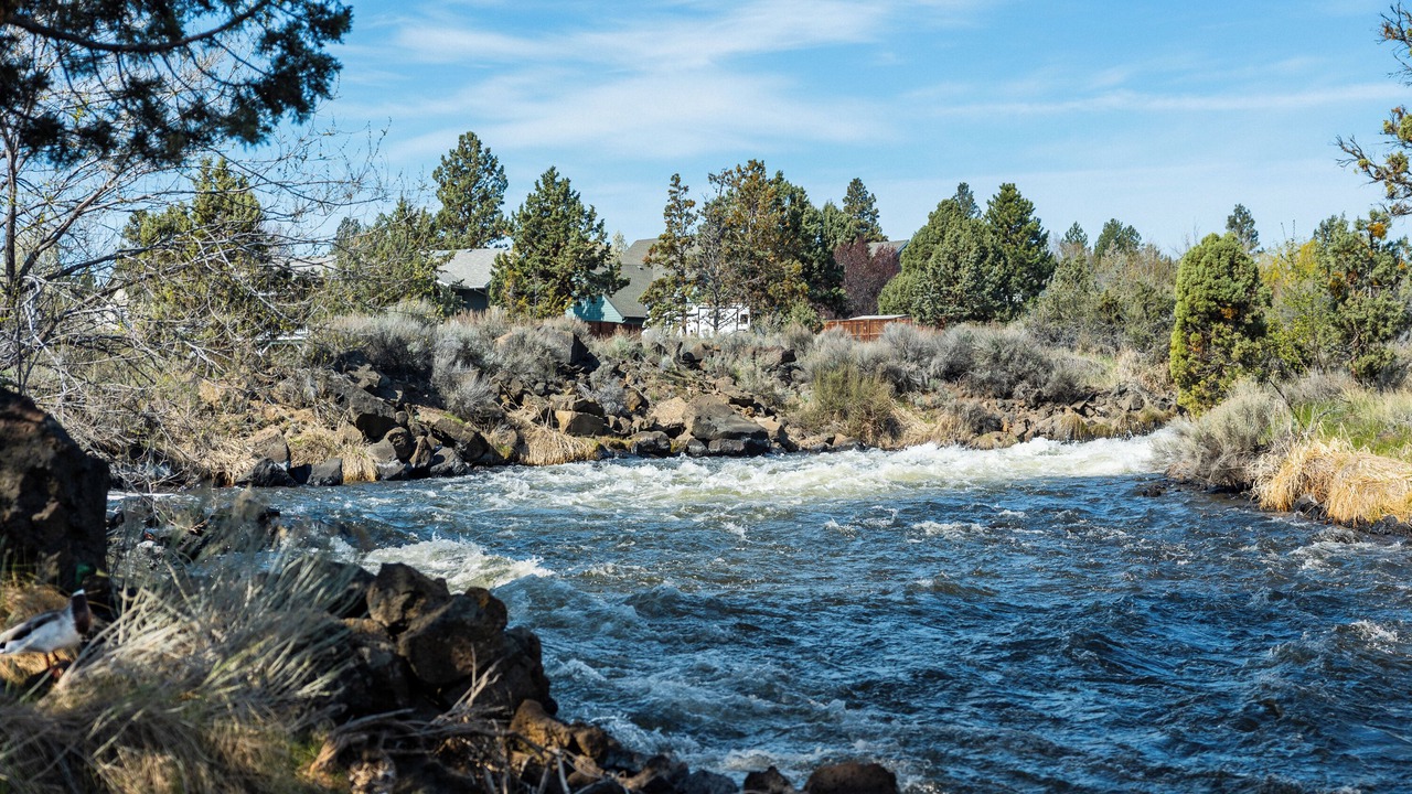 Photo of Outdoor in Mountain View
