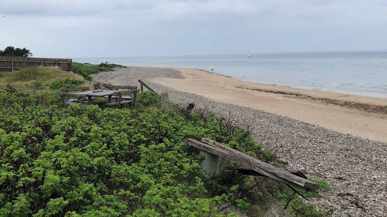 Photo of Others in Smidstrup Strand