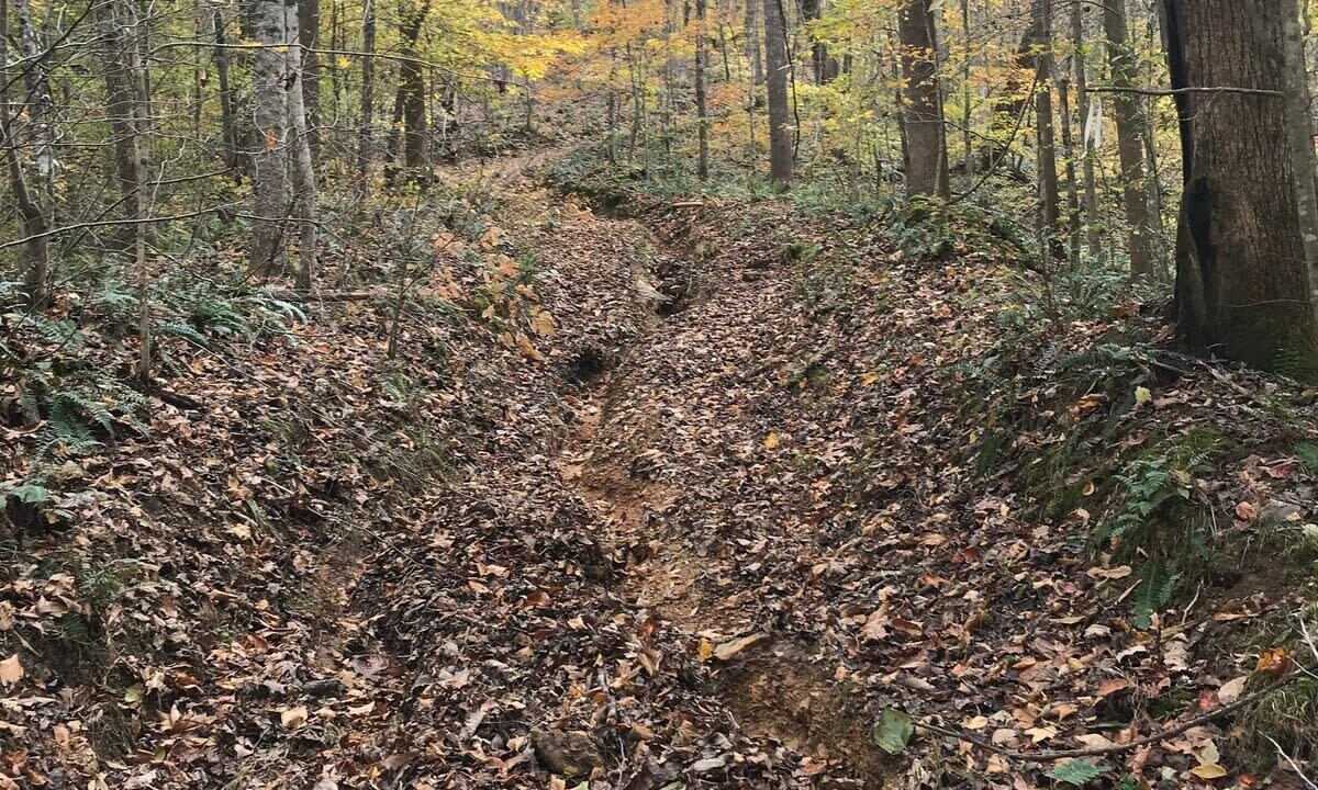 Photo of Outdoor in Franklin