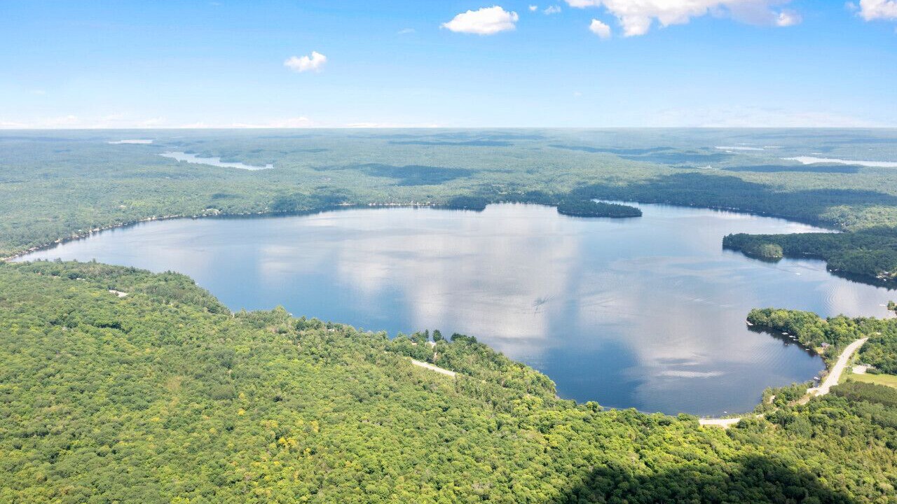 Photo of Others in Algonquin Highlands
