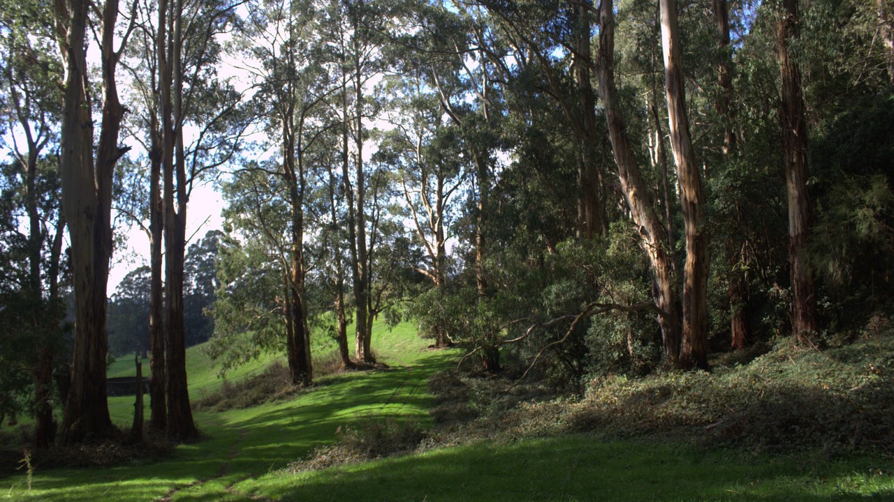Photo of Outdoor in Carlisle River
