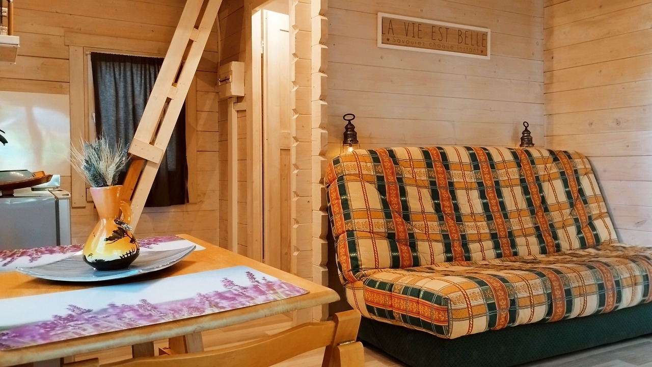 Photo of Others in Orange