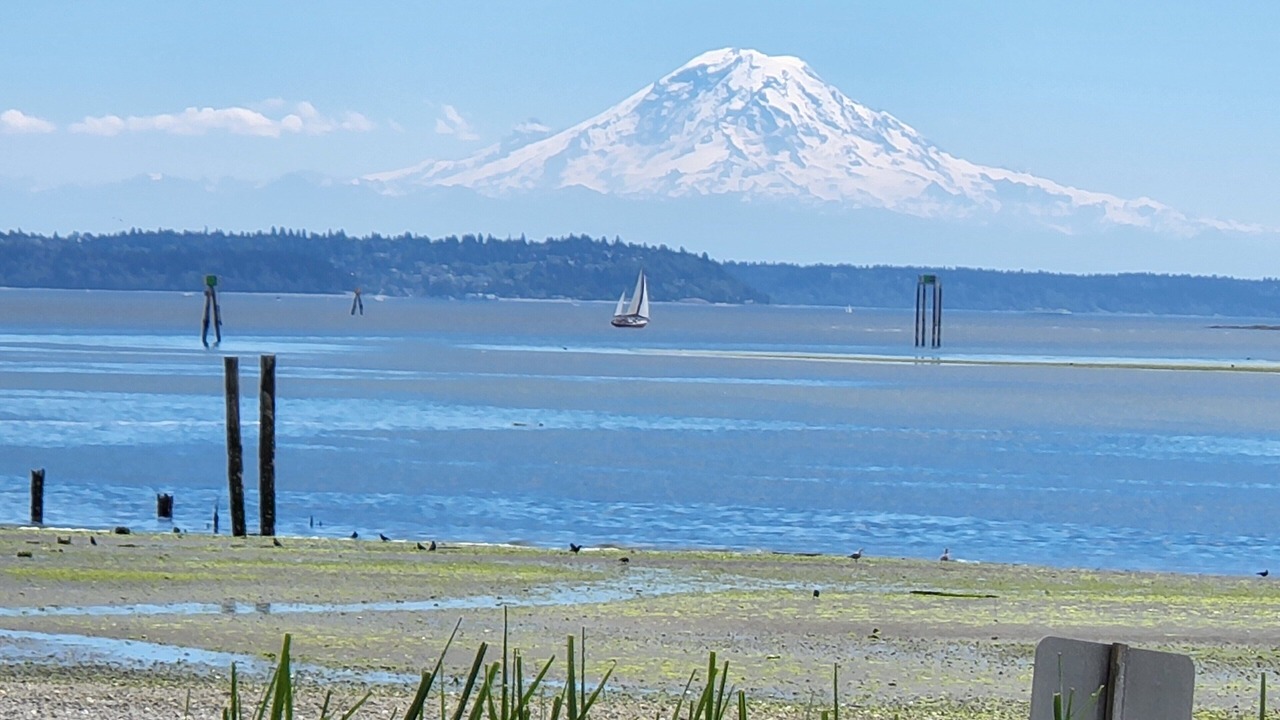 Photo of Others in Bainbridge Island