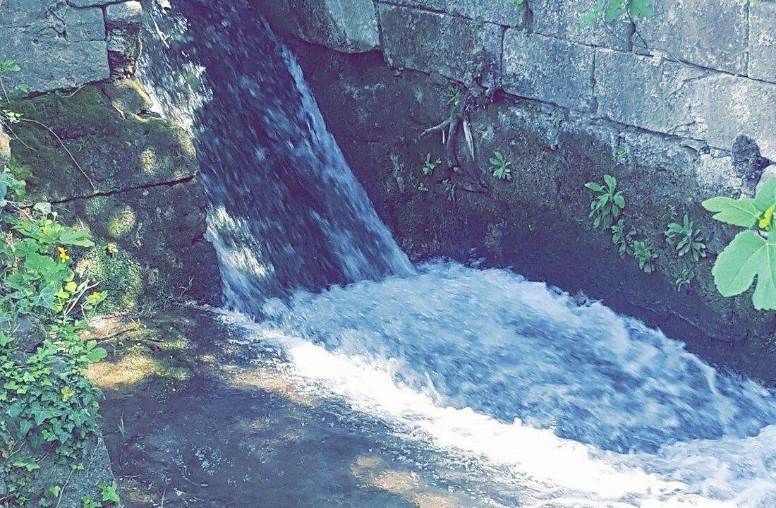 Photo of Bedroom in Orange