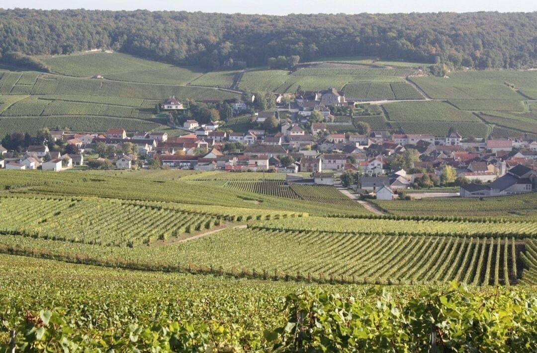 Photo of Outdoor in Grauves