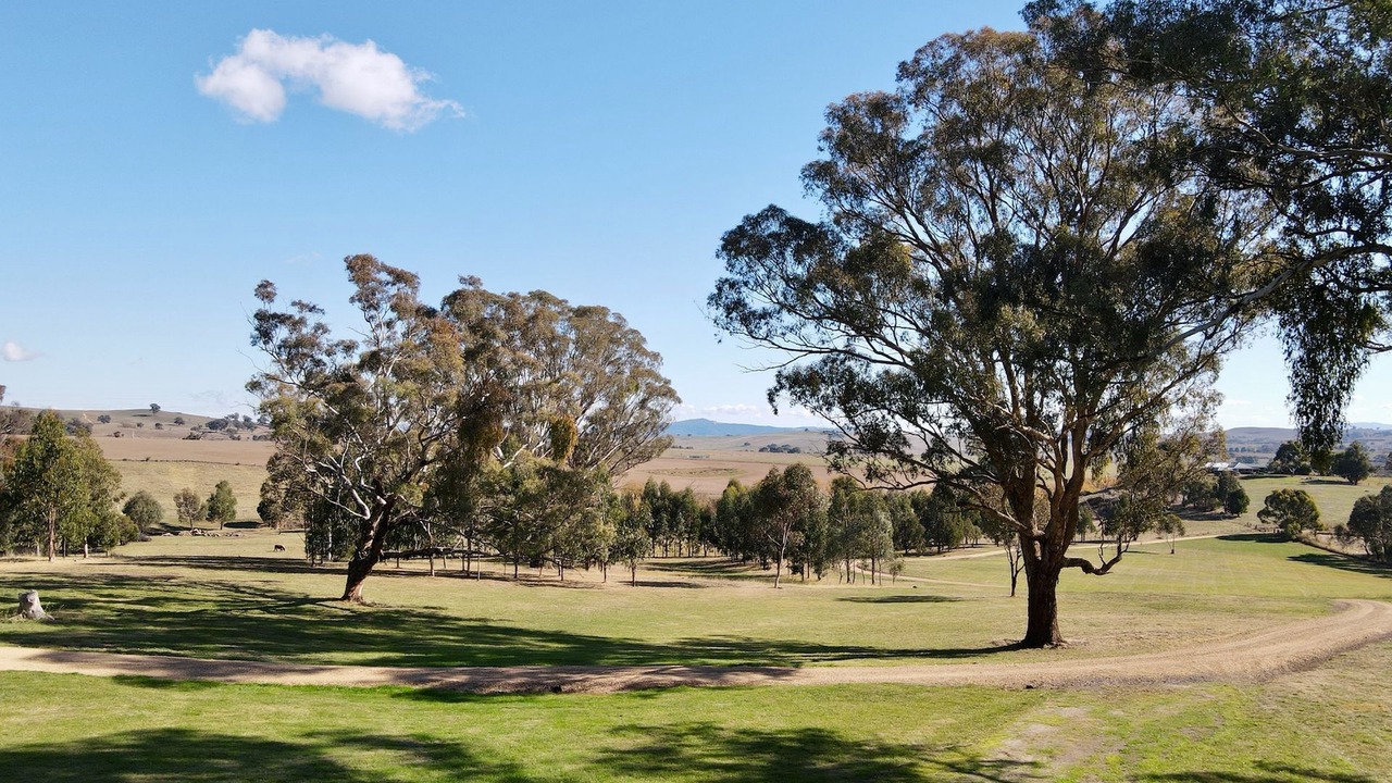 Photo of Others in Merrijig